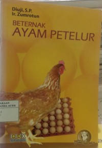 Image of beternak ayam petelur
